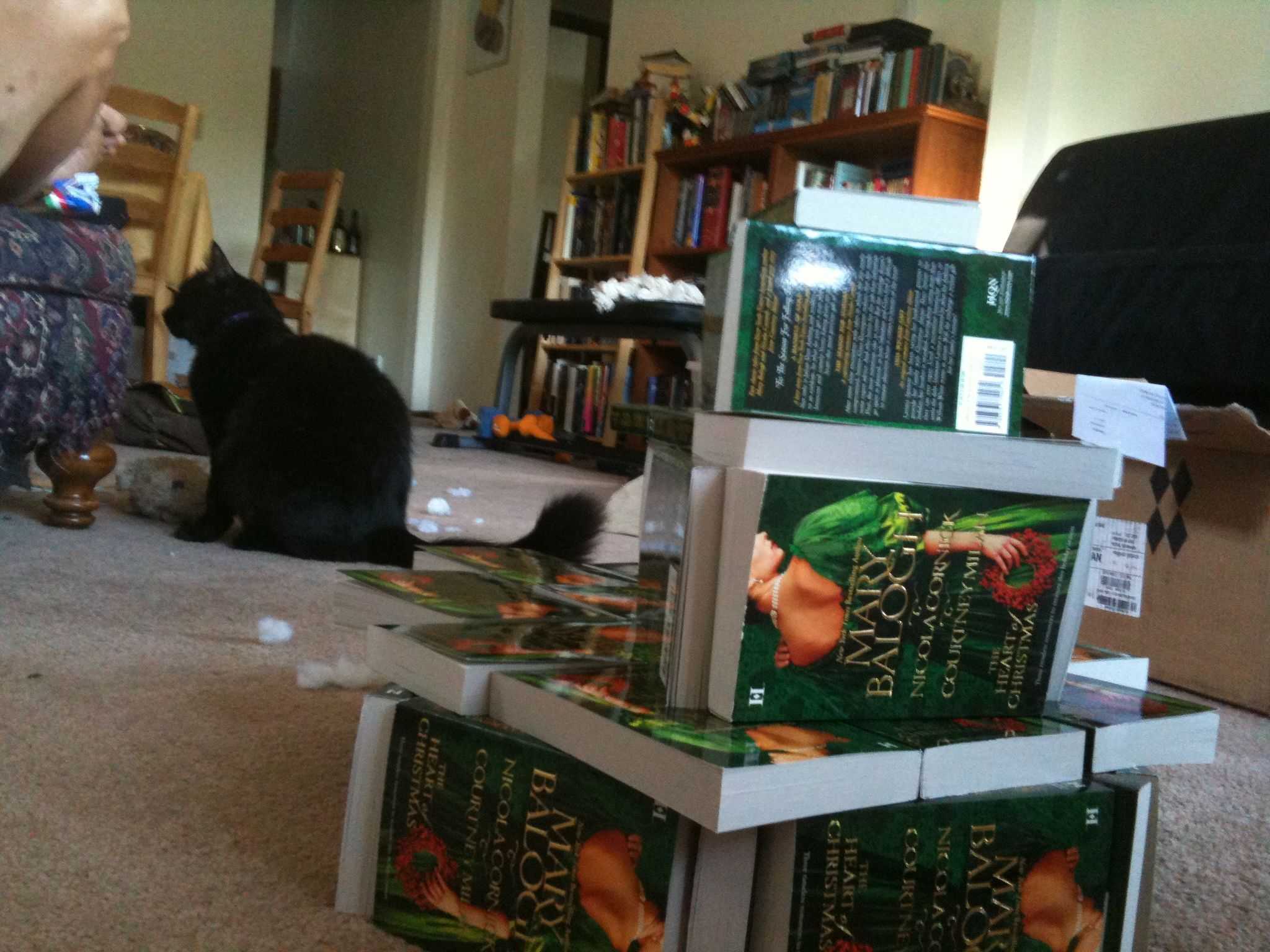Picture of Courtney Milan's attack cat and book fortress