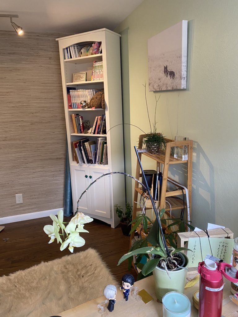 The view from my desk: A bookshelf with research materials, a stand for charging devices, plants visible.