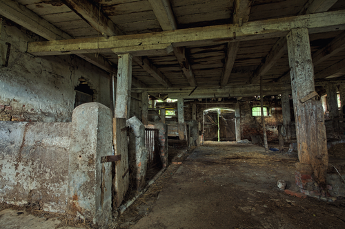 A dark building with stalls for cows, barn doors, and darkened windows