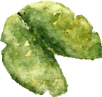 leaf leaf